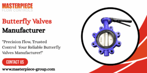 Read more about the article Butterfly Valves Manufacturer